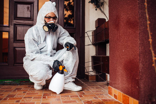 Reliable Cockroach Control contractor in Warr Acres, OK by Nex Pest Control