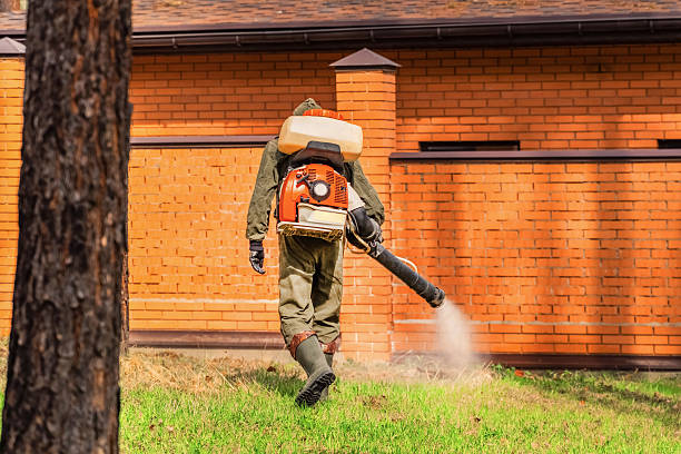 Top rated local Cockroach Control specialists in Warr Acres, OK